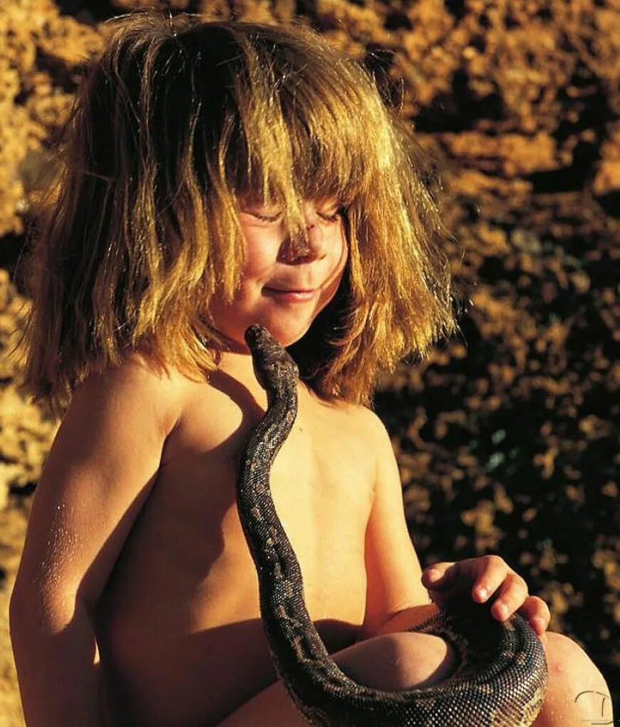 типпи дегре сейчас. девочка живущая с животными. жизнь с волками фильм 2005. типпи дегре и дикие животные африки. типпи маугли.