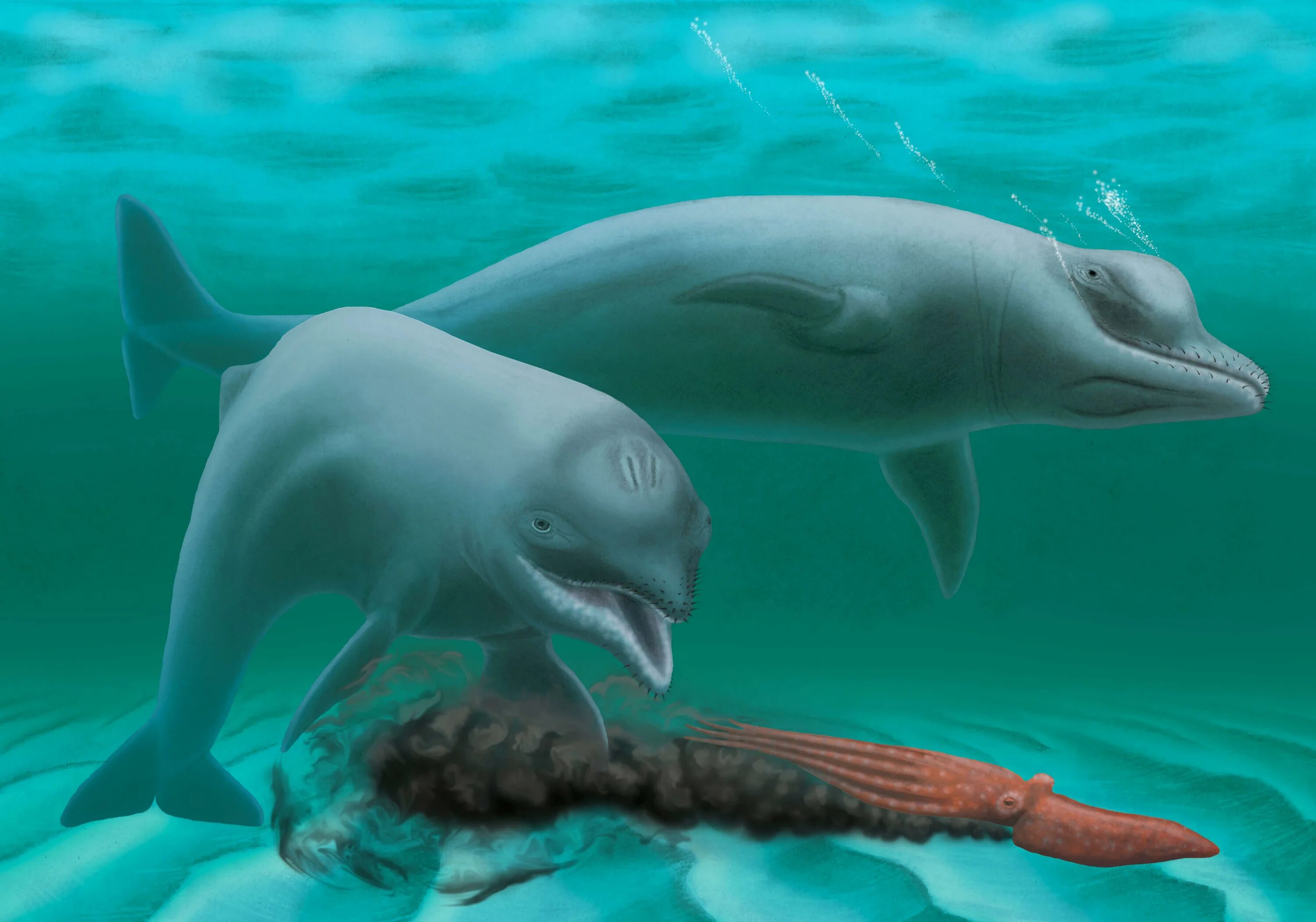 Inermorostrum Xenops. Доисторические морские млекопитающие. Морские животные будущего. Древний Дельфин.