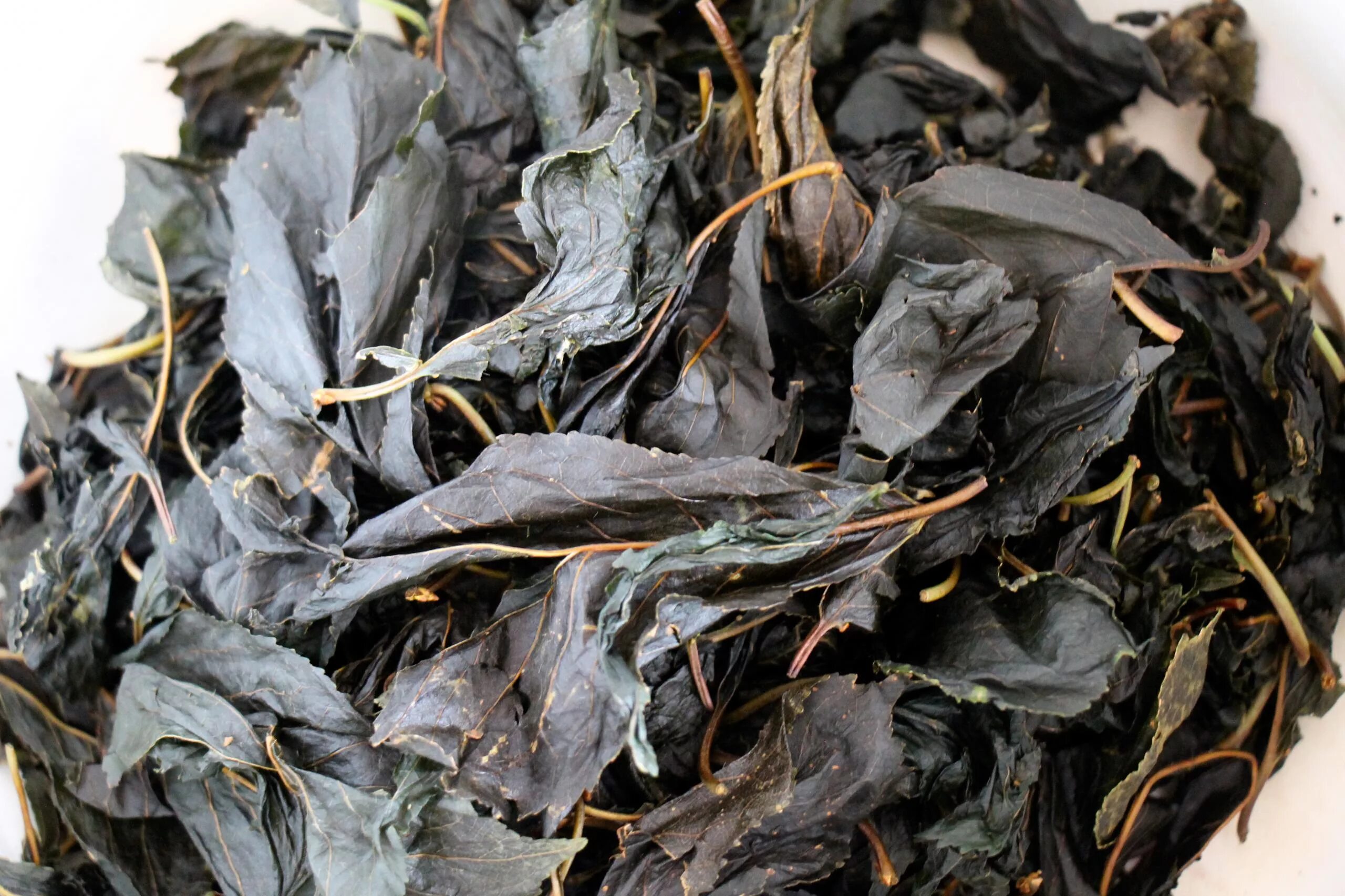 Как приготовить чай из листьев. Ферментирование листьев вишни. Ферментированный чай из листьев вишни. Чайный лист ферментированный. Ферментированный чай из грушевых листьев.