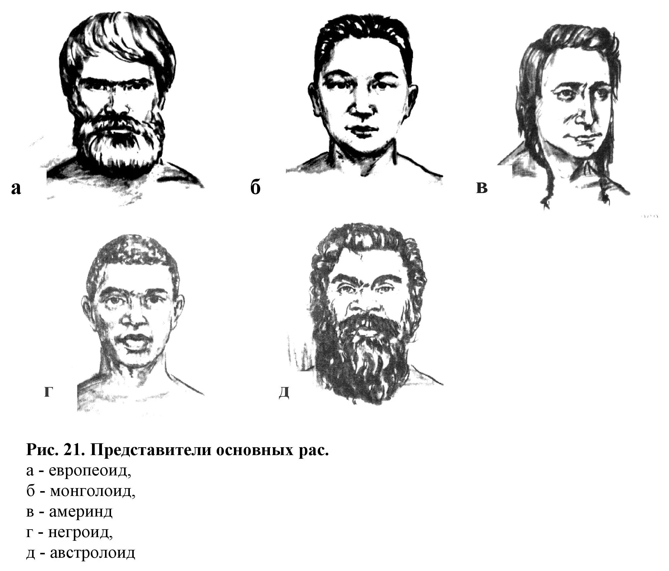 Антропогенез расы людей. Славяне монголоиды. Антропологический Тип. Европеоид и монголоид. Монголоиды раса.