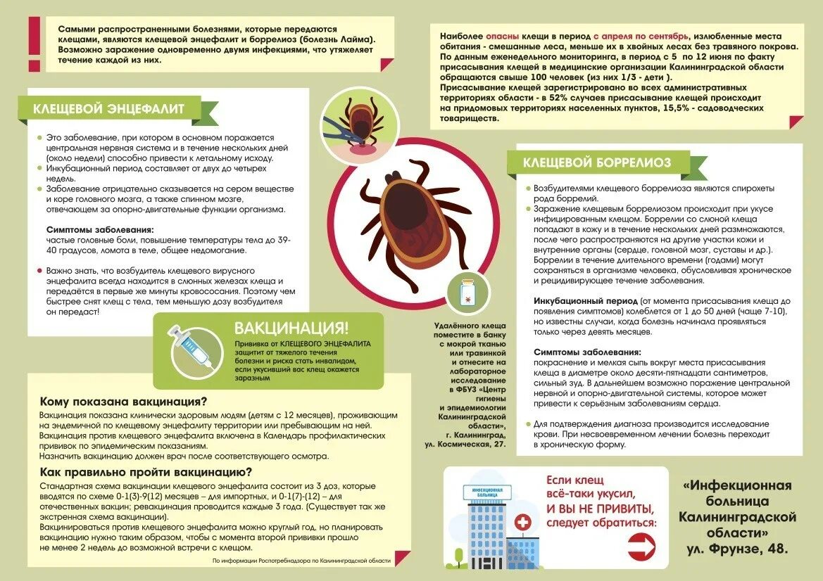 Клещевой энцефалит и боррелиоз памятка. Клещевой боррелиоз профилактика. Прививка от клещевого энцефалита собаке