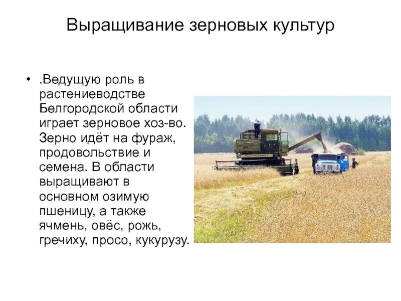 Презентация пробую профессию в аграрной сфере
