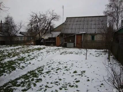 Куфар горки могилевской