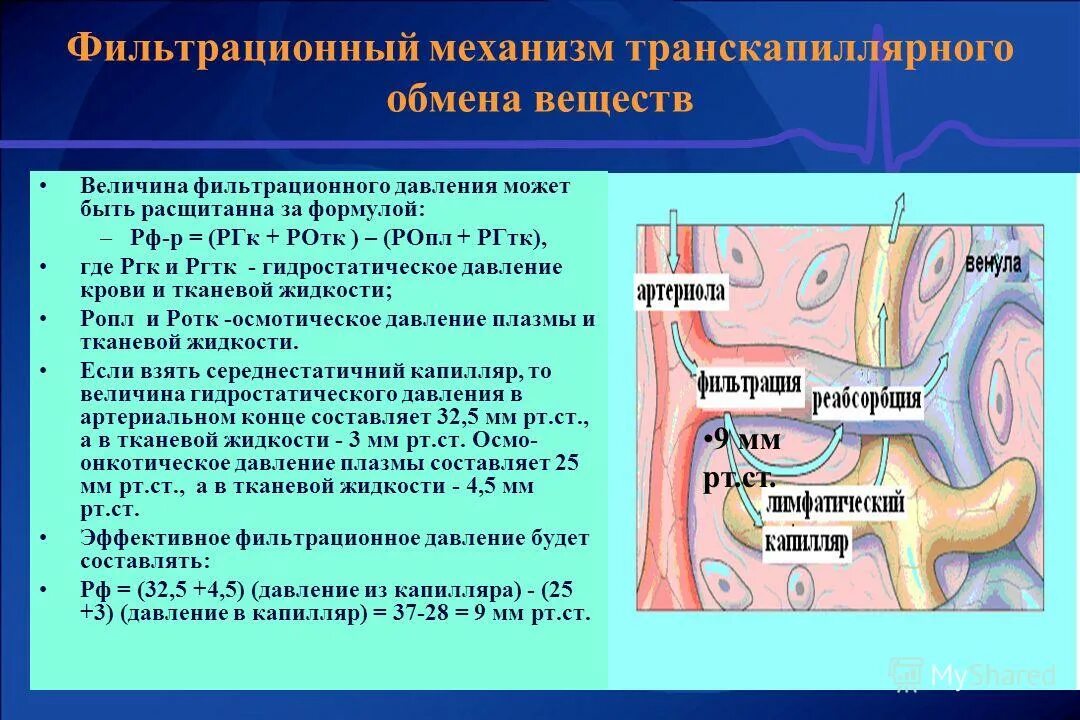 Гидростатический латынь. Гидростатическое давление тканевой жидкости. Схема давления в капиллярах. Капиллярное давление физиология. Гидростатическое давление в капиллярах.