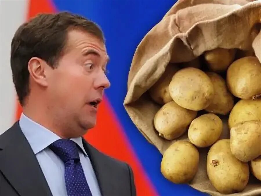 Мем с картошкой. Прическа картошка. картофель в прическе. картофель мемы.