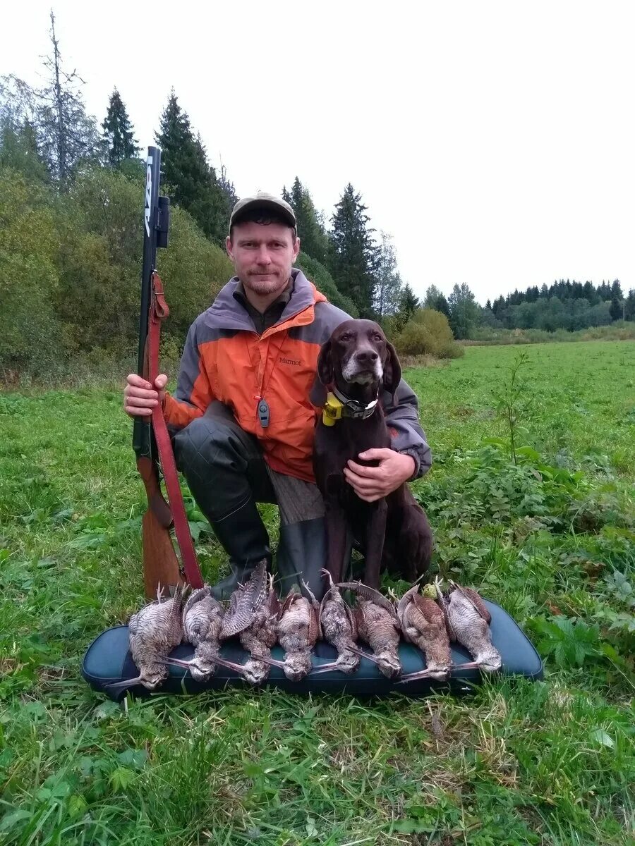 Про охоту и охотников. Вальдшнеп. С открытием охоты на вальдшнепа. Открытие охоты на вальдшнепа 2024