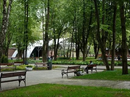 Парк оф