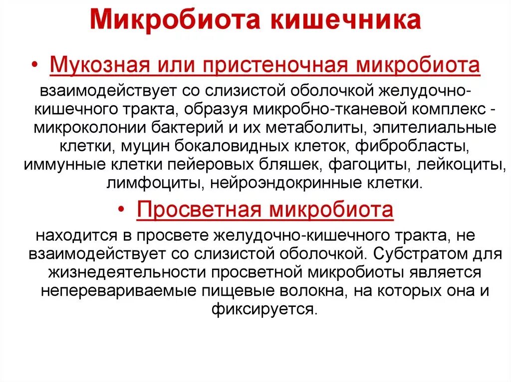 Про микрофлору
