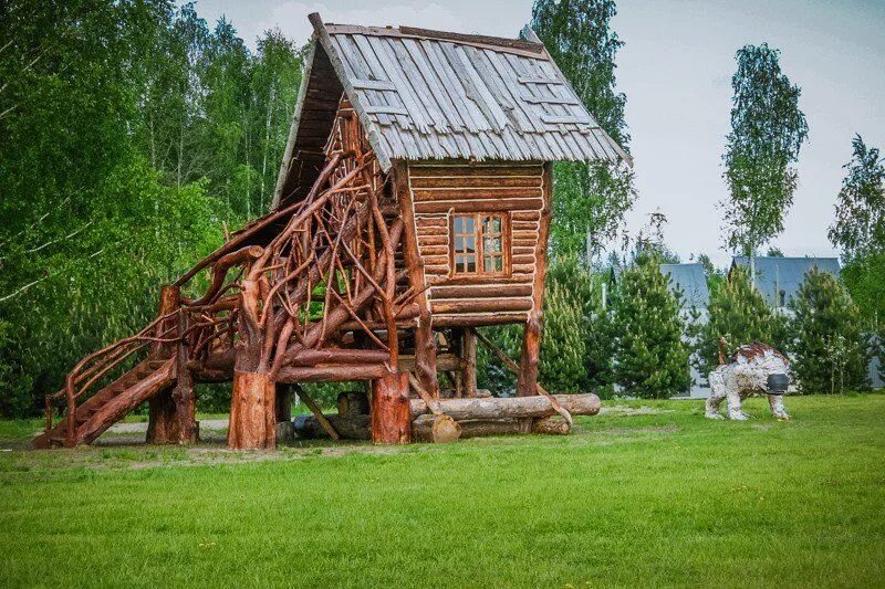 Кедр строй