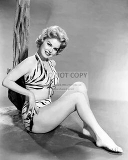 Picture 1 of 1. ACTRESS BARBARA LANG PIN UP - 8X10 PUBLICITY PHOTO (AZ404) ...