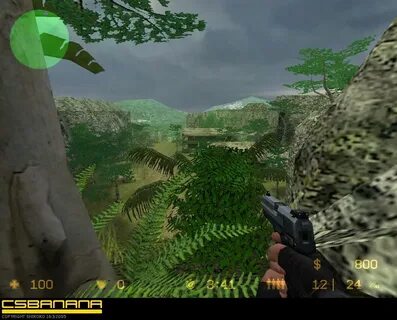 Jungle 1