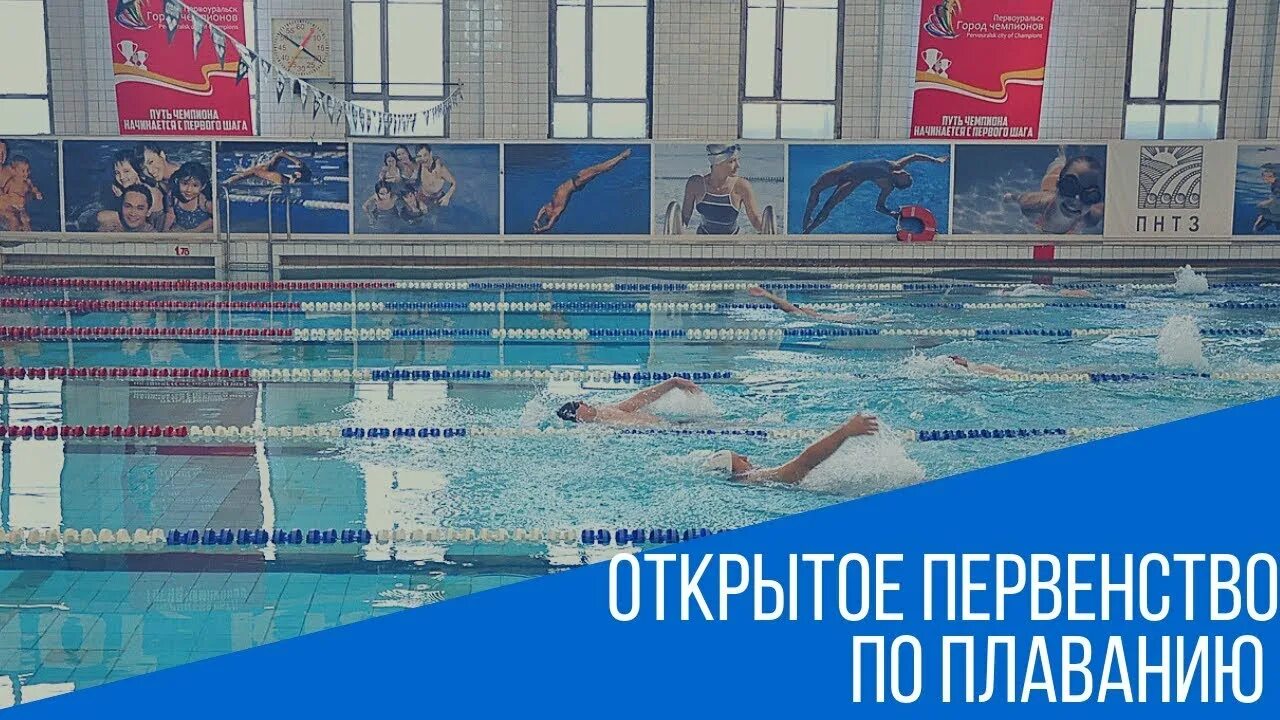 Первоуральск плавание. Первоуральск бассейн дворец. дворец водных видов спорта первоуральск. первоуральск дворец водных видов спорта реконструкция. плавание первоуральск.