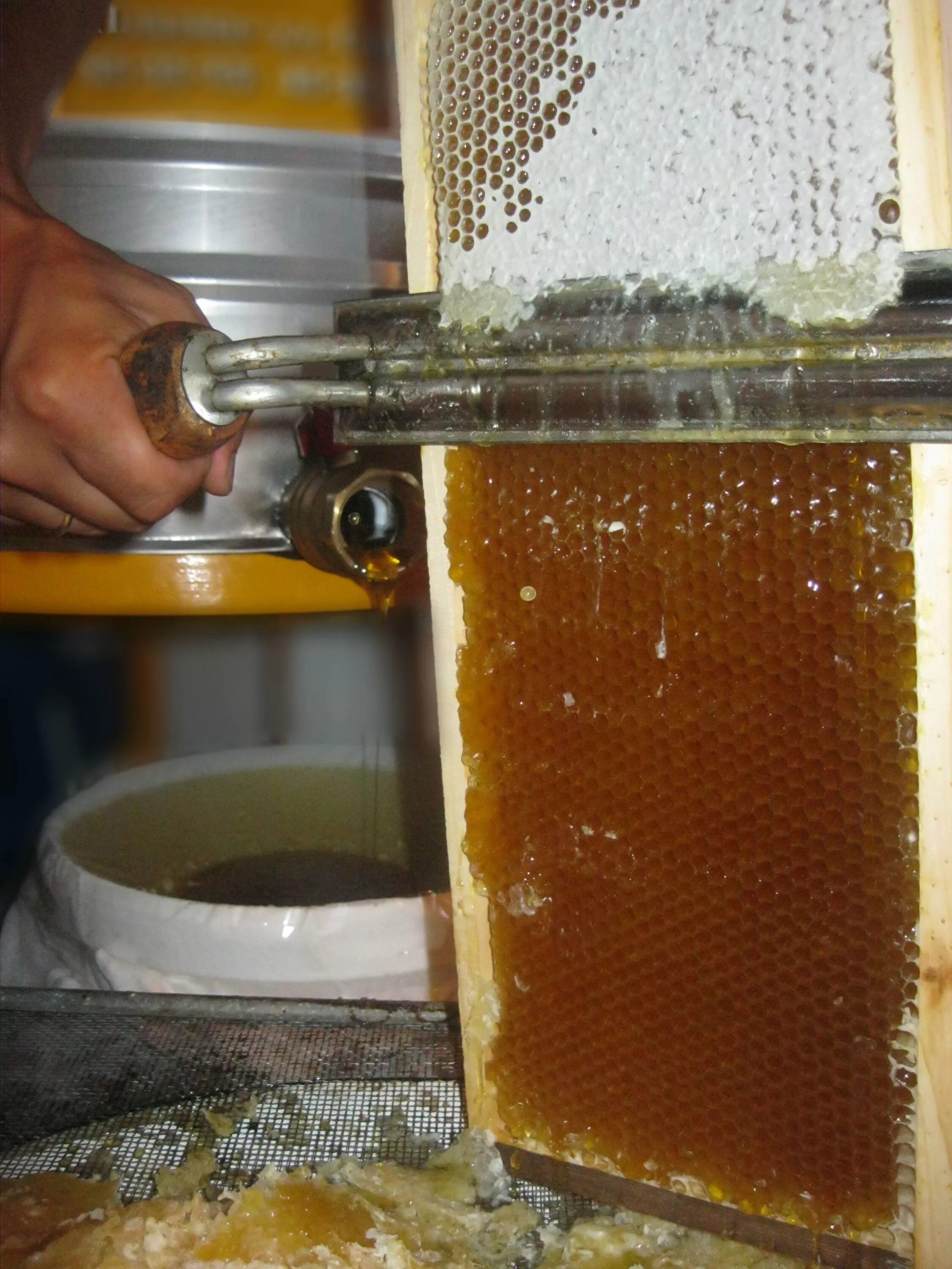 Воск в сотах. Забрус пчелиный. Пчелопродукты забрус. Что такое забрус в пчеловодстве. Пчелиный воск забрус.