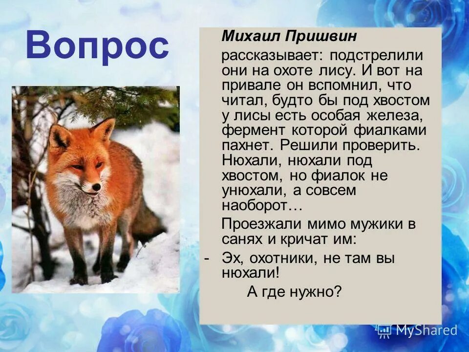 лису зимой. сочинение зимняя охота лисицы. доклад о лисах. рассказ на тему однажды зимой. стих про лисичку.