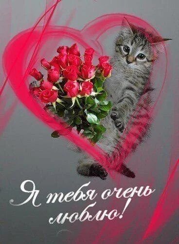 Солнышко я тебя люблю. Ненаглядная моя прелесть. Открытки просто прелесть. Открытка тебе моя хорошая. Сдобрым утром прелестьт.