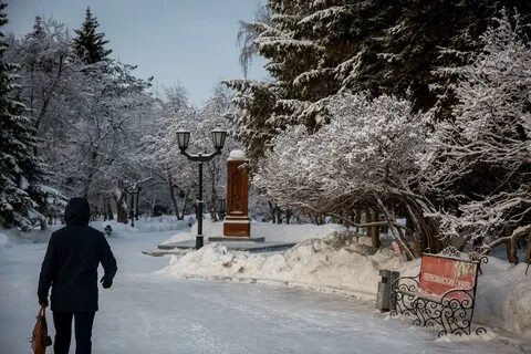 Потепление в новосибирске