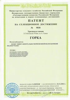 Срок патента на селекционное достижение