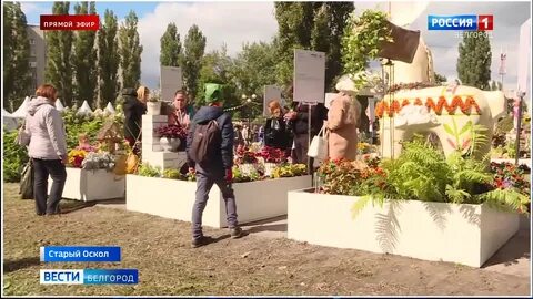 Апрель старый оскол 10