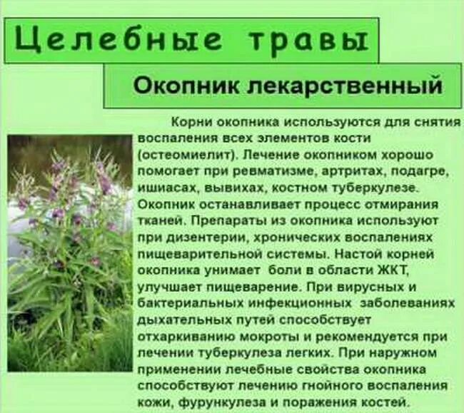 При каких заболеваниях применять лекарственные. Лекарственные травы. лечебные растения. лечебное травянистое растение. лекарственные растения описание.