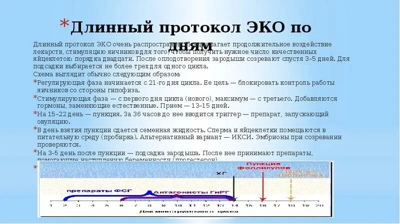 Протоколы эко форум. Длинный протокол эко схема. длинный протокол эко по дням схема. длинный протокол эко препараты. схема длинного протокола.