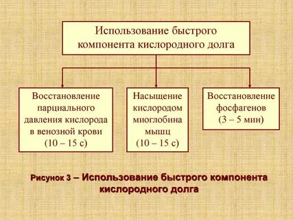 Величина кислородного долга