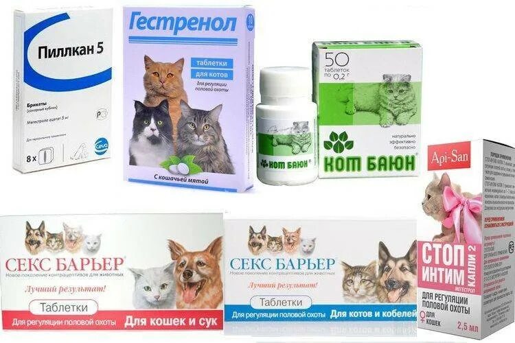Кот не есть таблетки. Успокоительные лекарства для котов. успокаивающие таблетки для котов. успокоительные капли для кота. успокоительные таблетки для кошек в дорогу.