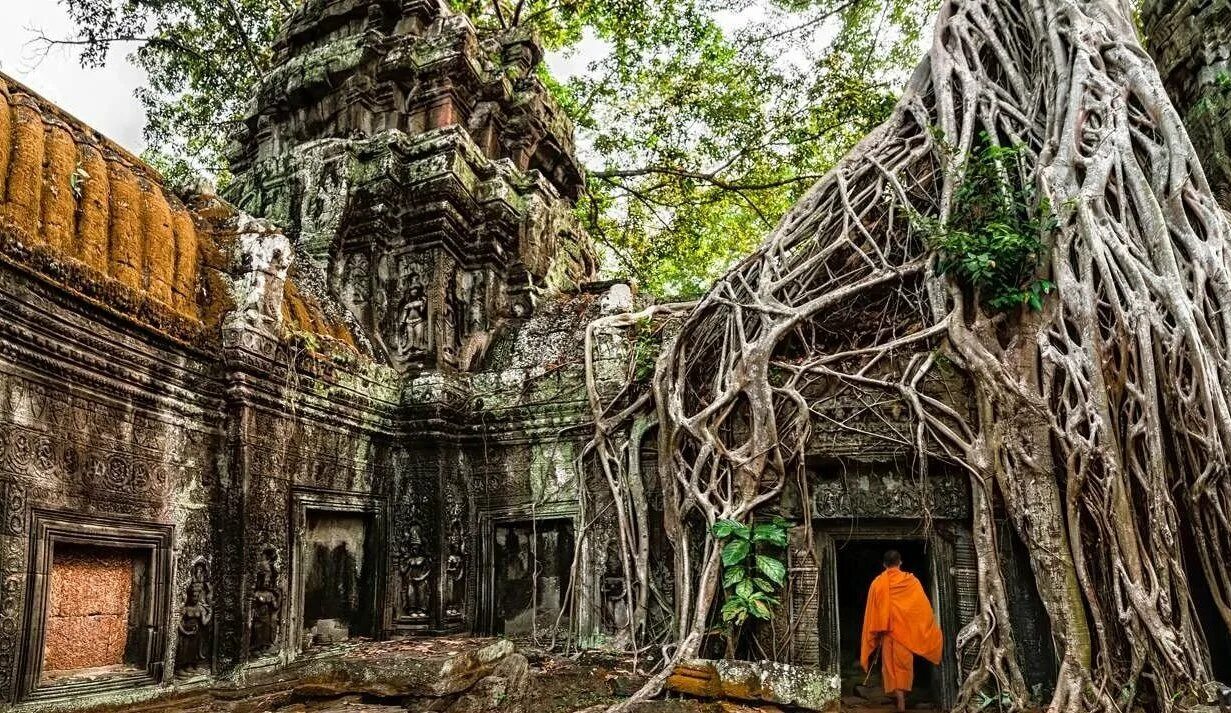 Спас в джунглях. Камбоджа храмы в джунглях. Ангкор ват храм та Пром. Джунгли Камбоджи храм Ангкор. Ангкор-ват ("город-храм") Камбоджа.