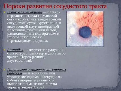 Пороки тест