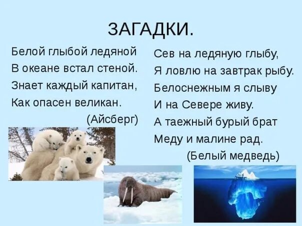 Код викторины на севере жить. Загадки про Арктику. Загадки о животных Арктики и Антарктики для детей. Загадки про животных Арктики. Загадки про животных севера.