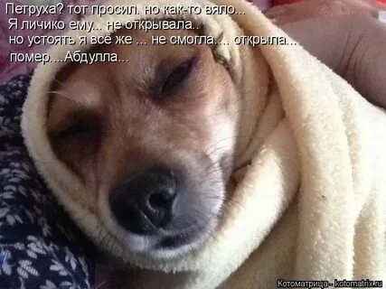 Как не быть вялым