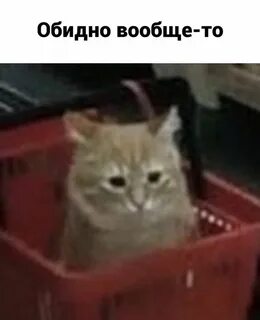 Внезапная жизнь