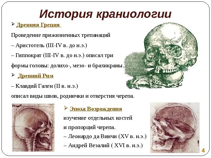 Метод краниологии. Краниология. Краниология в антропологии. Прикладные аспекты краниологии. Краниология.