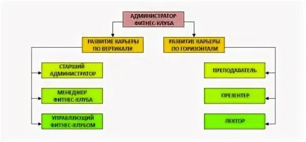 Обязанности администратора фитнеса
