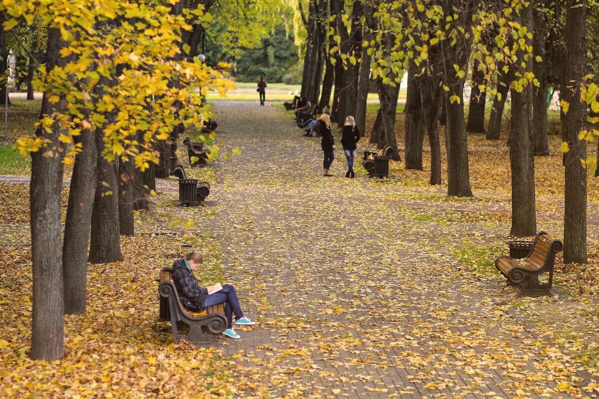 листопад 12. москва осень листопад. осенний пейзаж бунин. листья на земле. осень в парке.