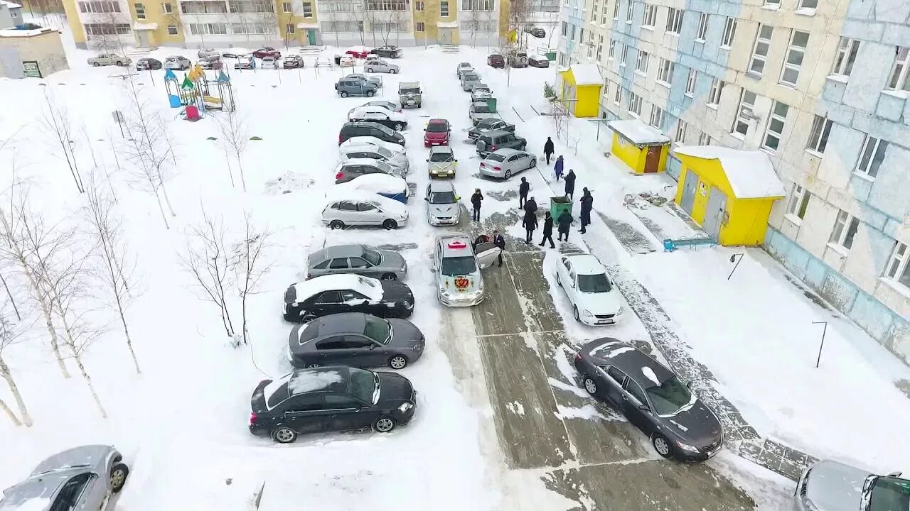 Лес в хмао зимой. Погода в ноябрьске сегодня. Погода в радужном хмао точный прогноз. Погода в радужном хмао точный прогноз. Химчистка радужный хмао.