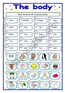 Parts of the body exercises