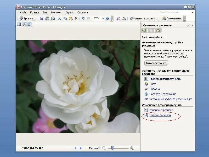 Редактор рисунков microsoft office. Программа imagine viewer. Программа майкрософт офис для редактирования картинок. Microsoft image. Microsoft просмотр изображений.