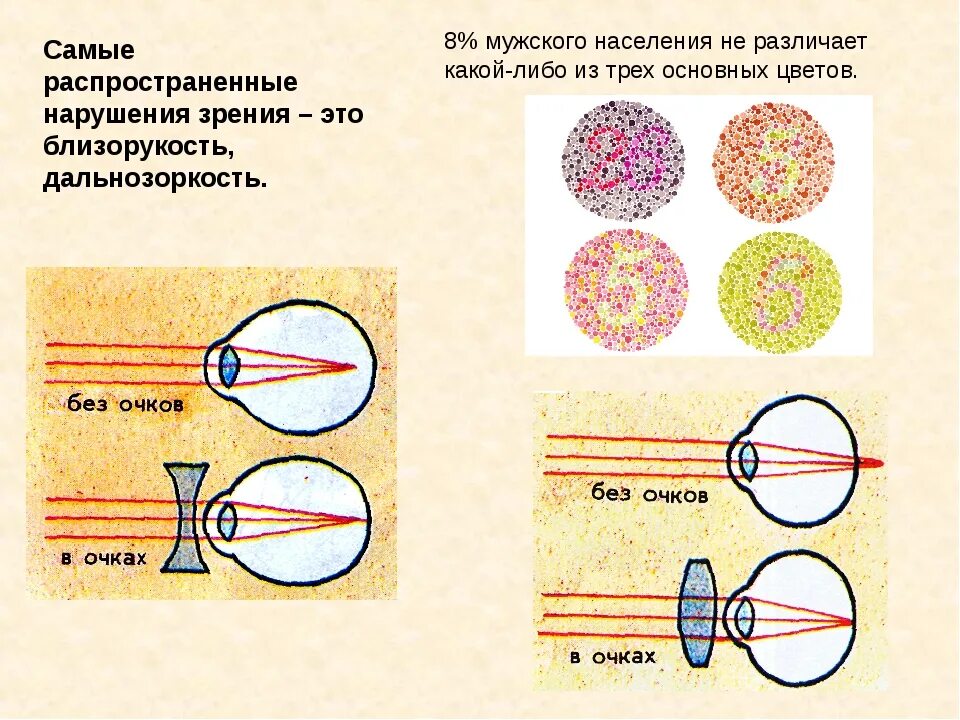 Фактическое зрение