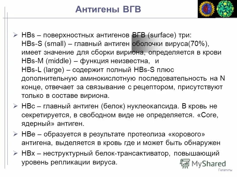 Периоды гепатита а. Гепатит у известных. Иктеричность кожных склер. Гепатит у известных. Хронический агрессивный гепатит.