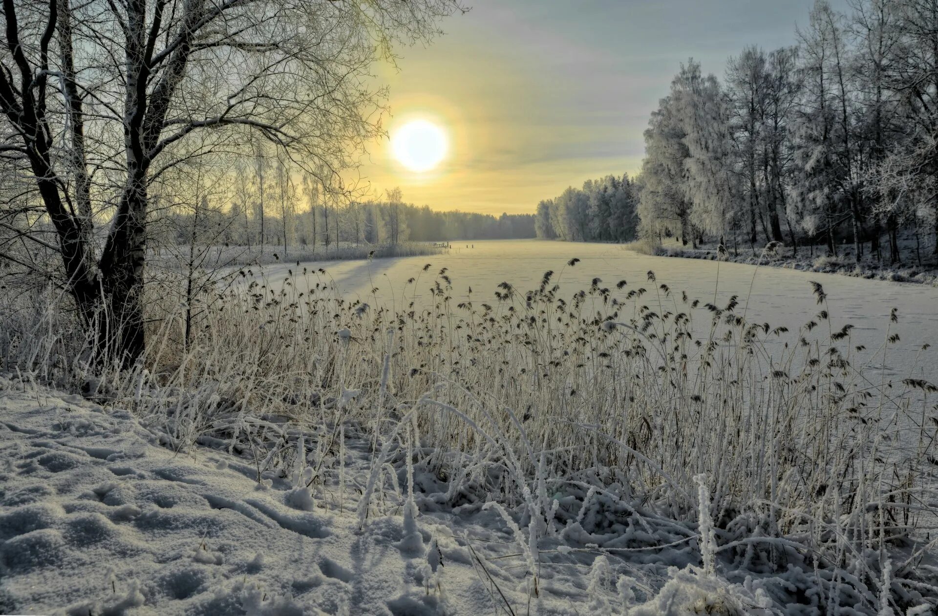 Первый снег утром картинки. Ноябрь природа. Весенний пейзаж. Лесостепь зимой. Конец зимы.