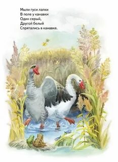 Мыли гуси лапки