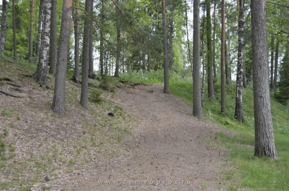 пастырское озеро выборгский район. поселок красная долина выборгского района ленинградской области. дети лес поселок. посёлок красная долина выборгского района ленинградск. красная долина выборгский р.