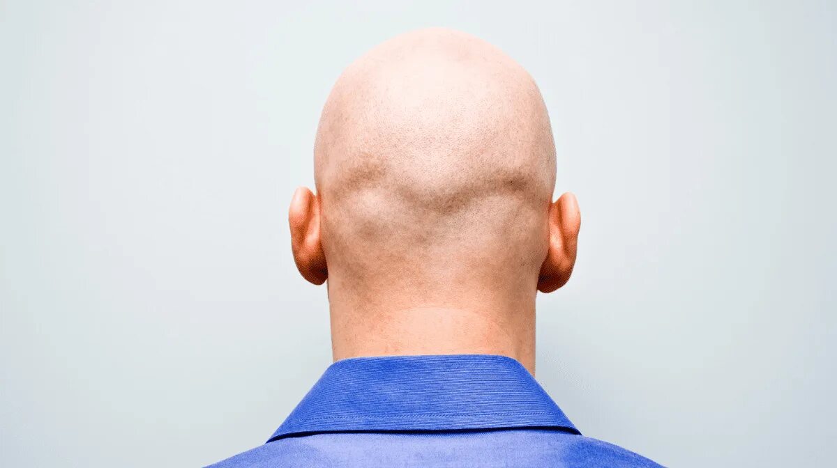 Получить head