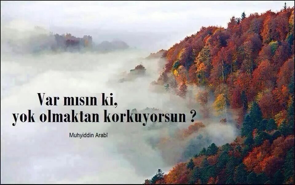 Yok var. Yok var
