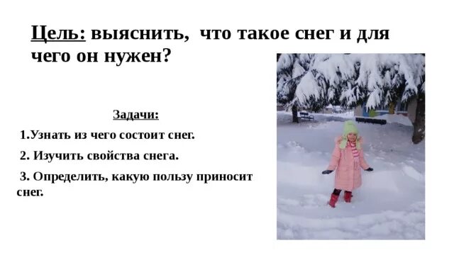 Презентация по русскому языку по теме Проект Семья слов 3 класс доклад, проект