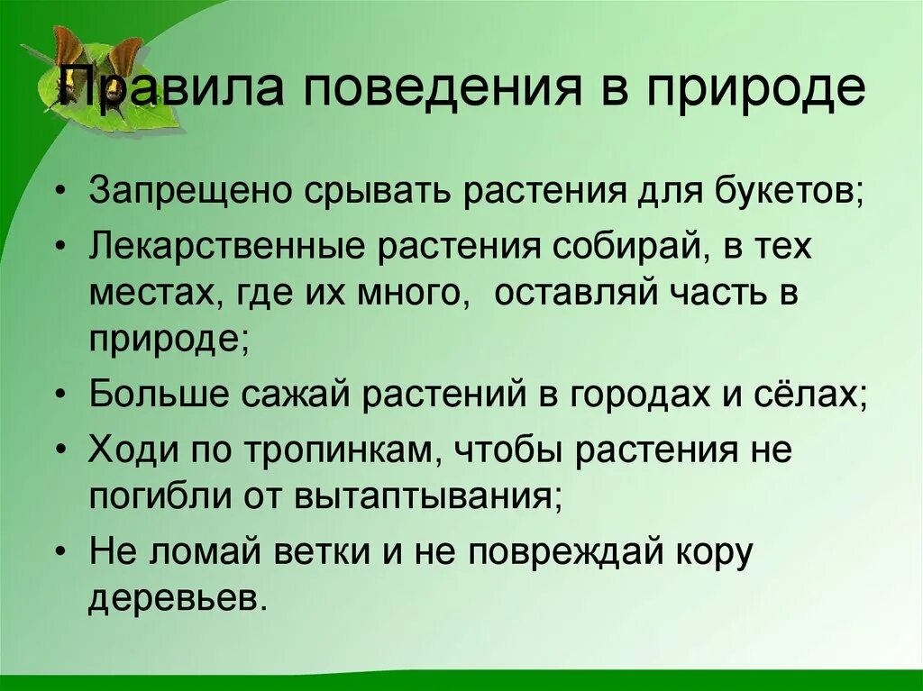 Пятнадцать значение. Правила поведения с растениями. Значение растений в природе презентация. Правила поведения с растениями в природе. Правила поведения в природе запрещение.