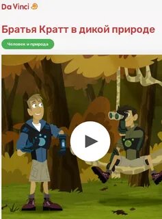 Братья крат новые