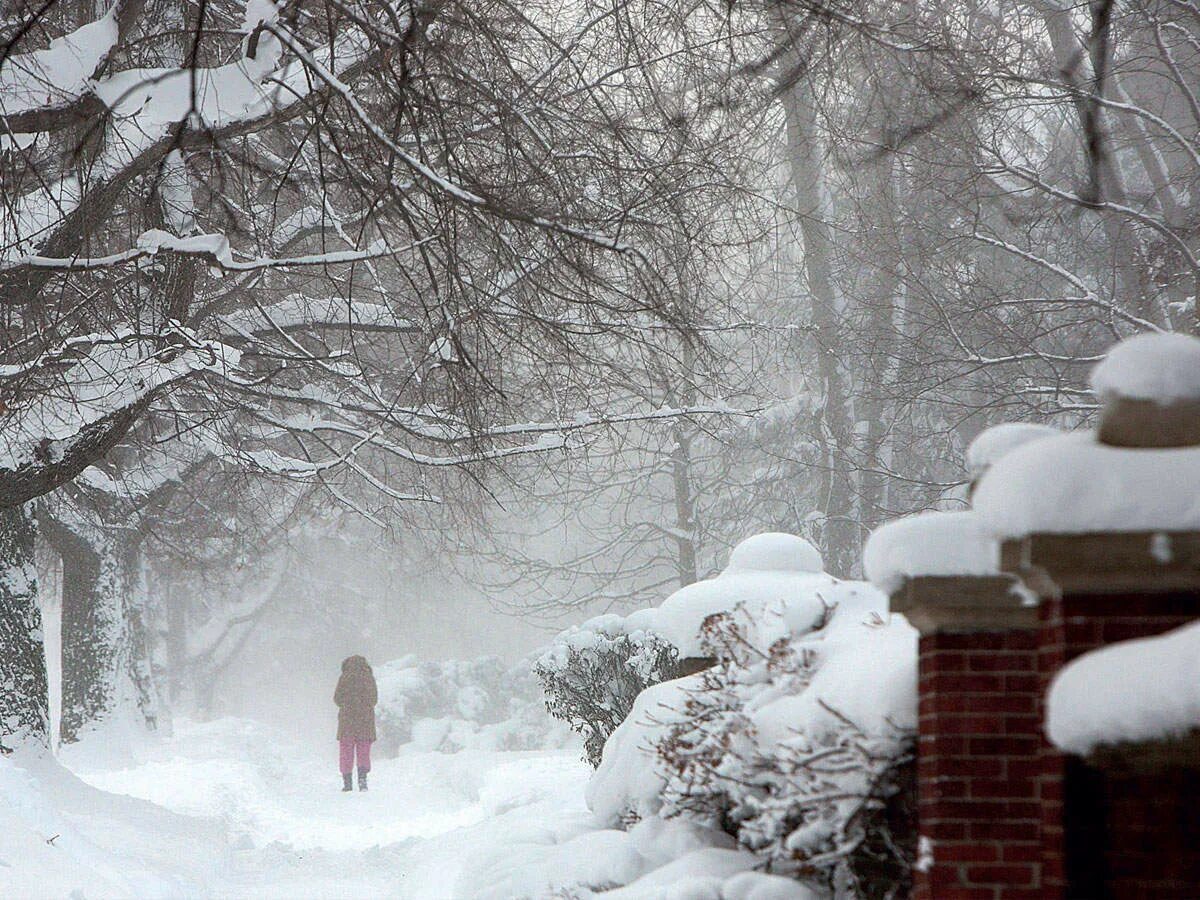 Freezing us. Freezing weather. My Winter Storm. Freezing Snow. Погода Вашингтоне 16 февраля.