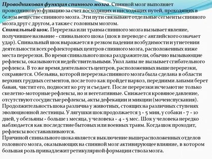 Сроки мочеиспускание