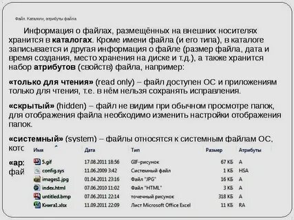 Типы файлов атрибуты файлов